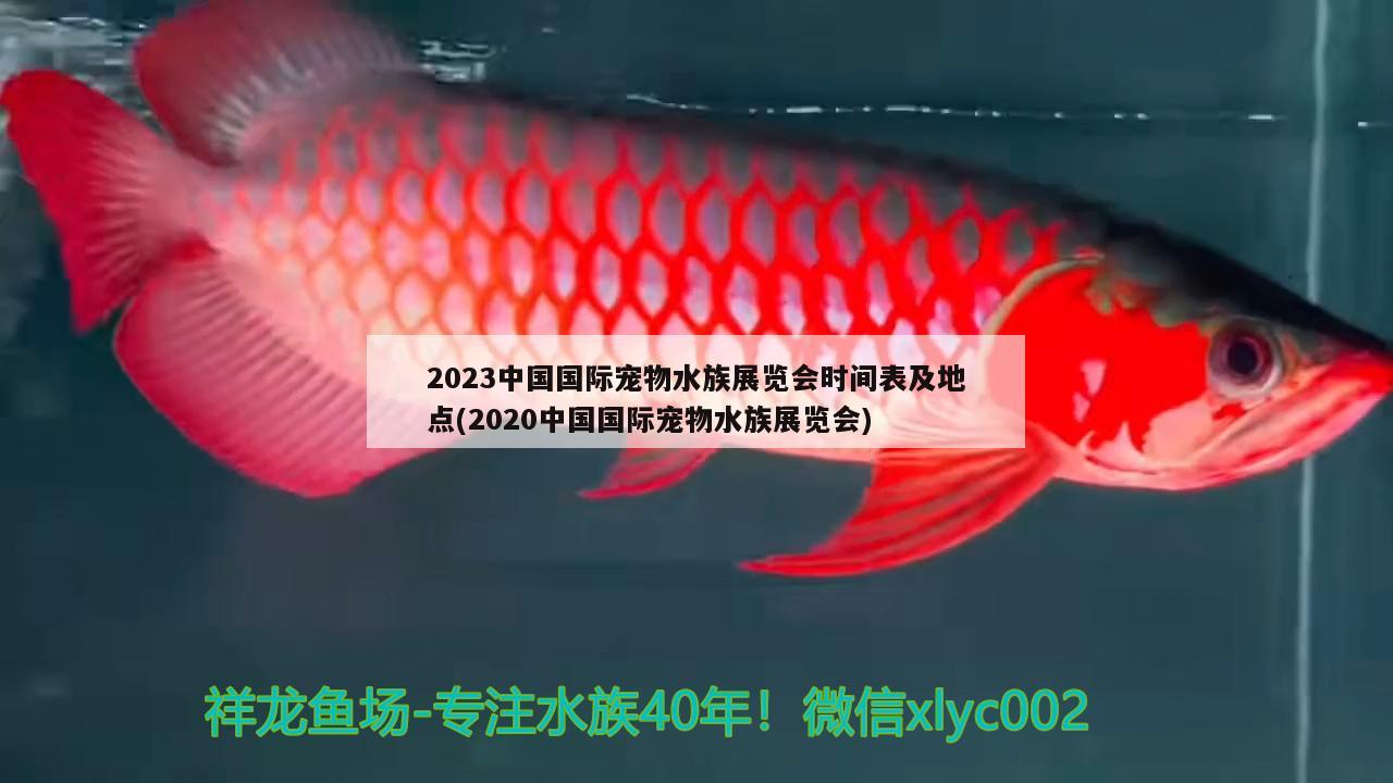 2023中国国际宠物水族展览会时间表及地点(2020中国国际宠物水族展览会) 水族展会