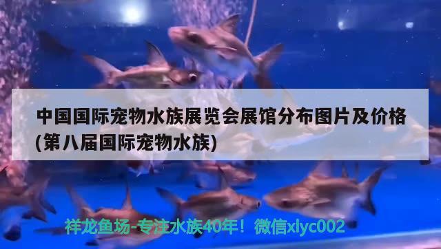 中国国际宠物水族展览会展馆分布图片及价格(第八届国际宠物水族)