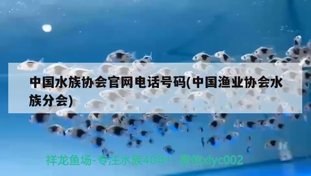 中国水族协会官网电话号码(中国渔业协会水族分会)