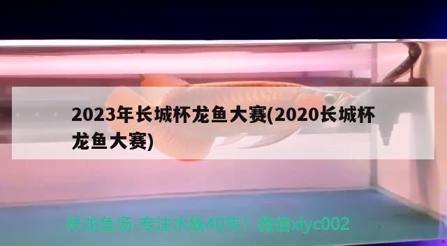 2023年长城杯龙鱼大赛(2020长城杯龙鱼大赛)