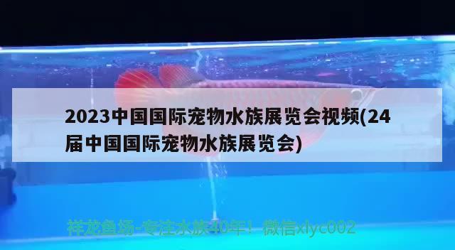 2023中国国际宠物水族展览会视频(24届中国国际宠物水族展览会) 水族展会