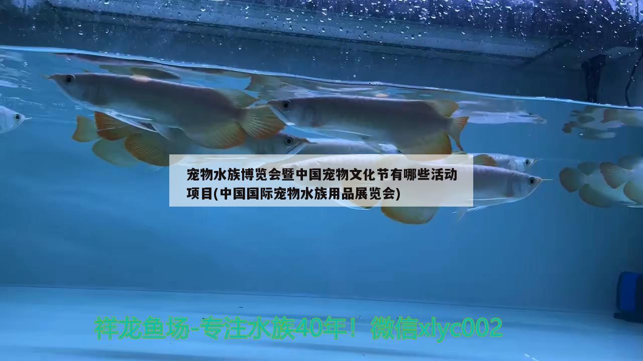 宠物水族博览会暨中国宠物文化节有哪些活动项目(中国国际宠物水族用品展览会) 水族用品