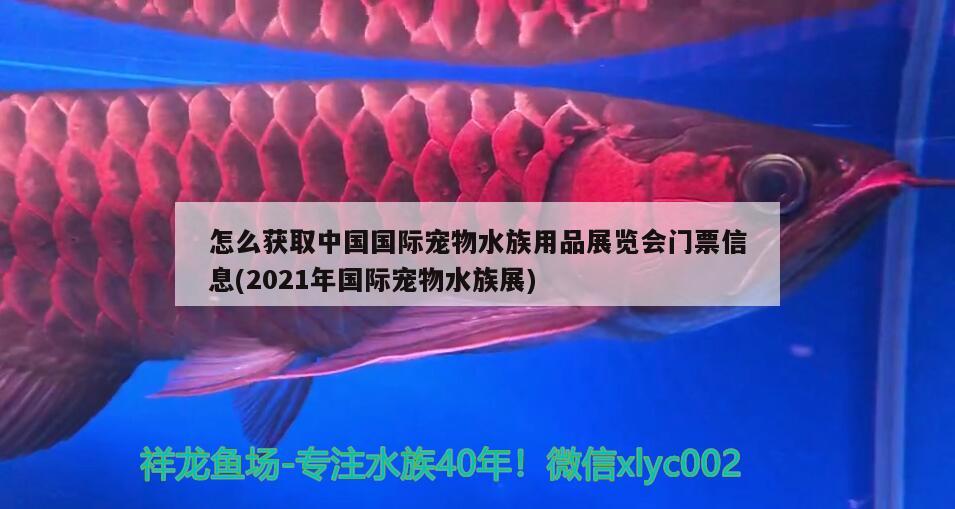 怎么获取中国国际宠物水族用品展览会门票信息(2021年国际宠物水族展)