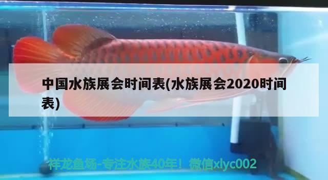 中国水族展会时间表(水族展会2020时间表) 水族展会