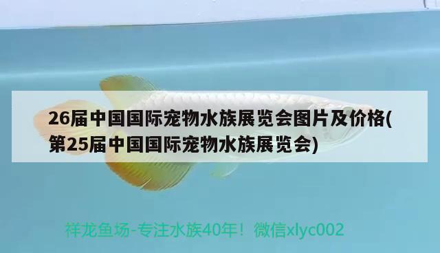 26届中国国际宠物水族展览会图片及价格(第25届中国国际宠物水族展览会) 水族展会