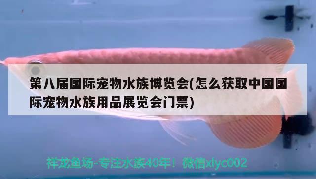 第八届国际宠物水族博览会(怎么获取中国国际宠物水族用品展览会门票)