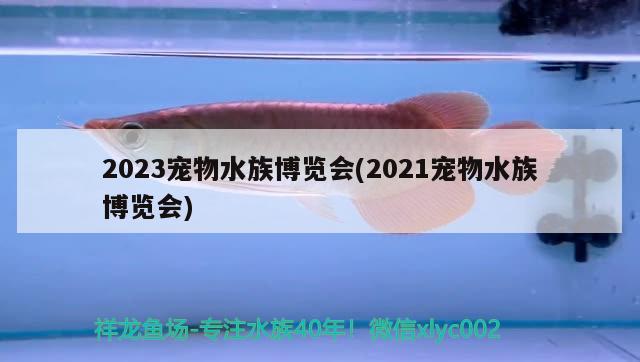 2023宠物水族博览会(2021宠物水族博览会)