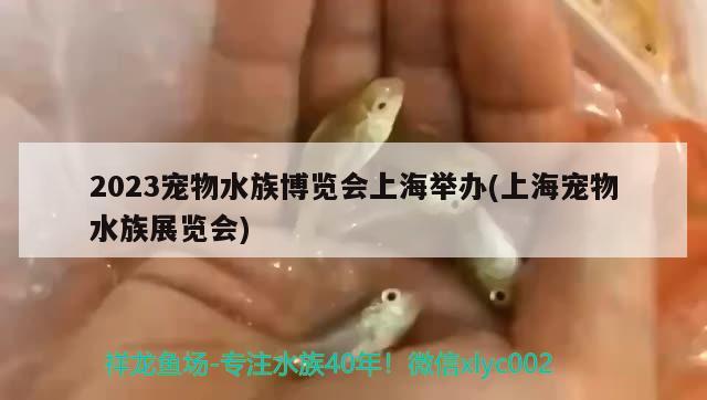 2023宠物水族博览会上海举办(上海宠物水族展览会) 水族展会