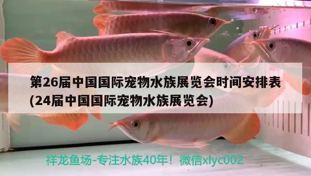 第26届中国国际宠物水族展览会时间安排表(24届中国国际宠物水族展览会)