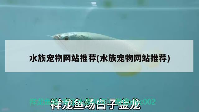 水族宠物网站推荐(水族宠物网站推荐)