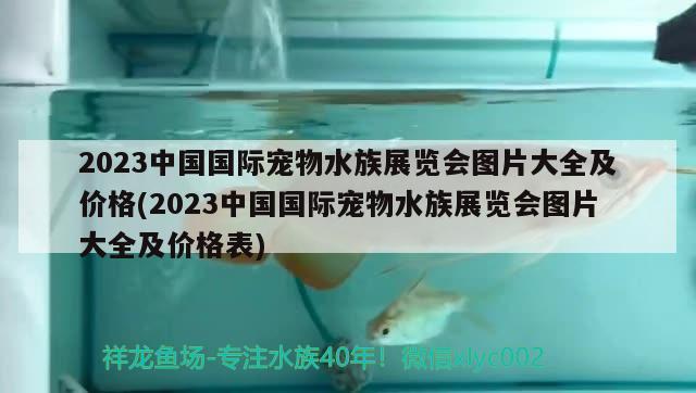 2023中国国际宠物水族展览会图片大全及价格(2023中国国际宠物水族展览会图片大全及价格表)