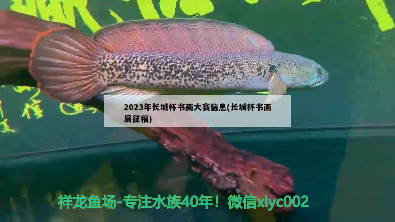 2023年长城杯书画大赛信息(长城杯书画展征稿) 2024第28届中国国际宠物水族展览会CIPS（长城宠物展2024 CIPS）