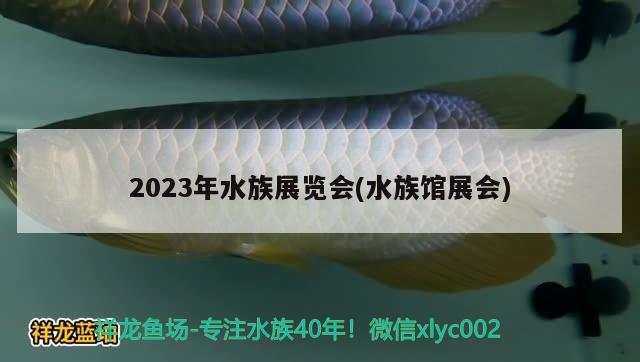 2023年水族展览会(水族馆展会)