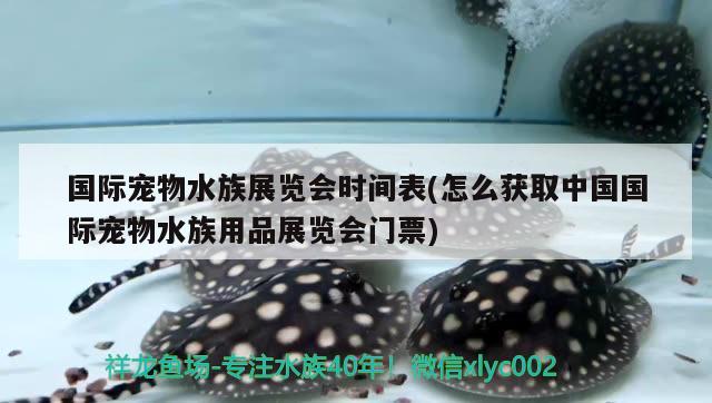 国际宠物水族展览会时间表(怎么获取中国国际宠物水族用品展览会门票)