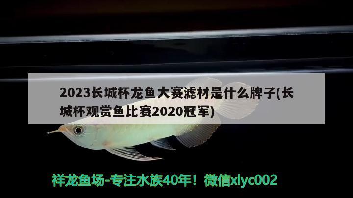 2023长城杯龙鱼大赛滤材是什么牌子(长城杯观赏鱼比赛2020冠军)