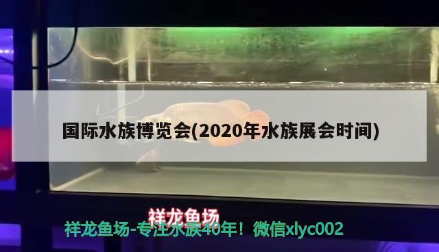 国际水族博览会(2020年水族展会时间) 水族展会 第3张