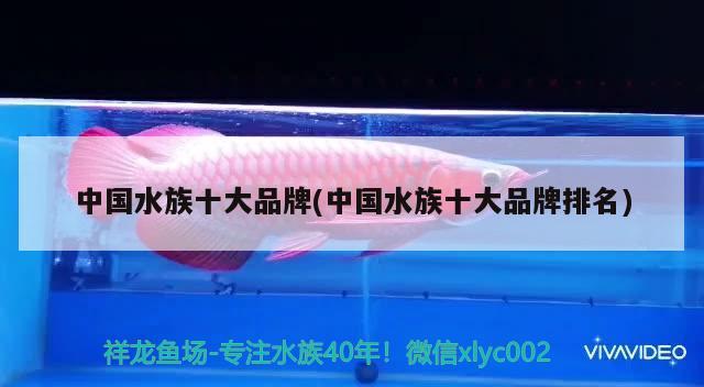 中国水族十大品牌(中国水族十大品牌排名)