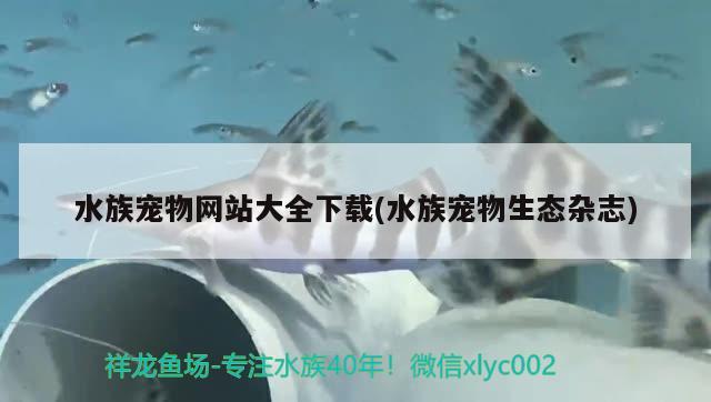 水族宠物网站大全下载(水族宠物生态杂志) 2024第28届中国国际宠物水族展览会CIPS（长城宠物展2024 CIPS）