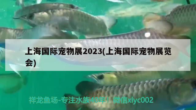 上海国际宠物展2023(上海国际宠物展览会)