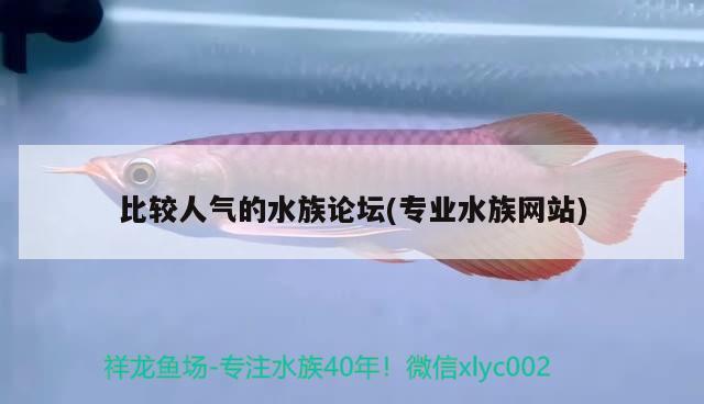 比较人气的水族论坛(专业水族网站) 2024第28届中国国际宠物水族展览会CIPS（长城宠物展2024 CIPS）