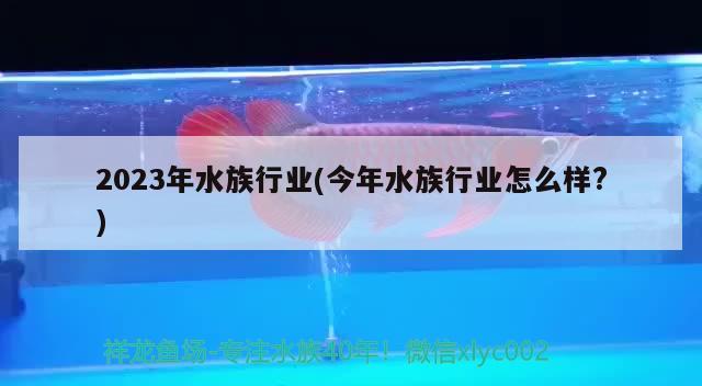 2023年水族行业(今年水族行业怎么样?) 2024第28届中国国际宠物水族展览会CIPS（长城宠物展2024 CIPS）