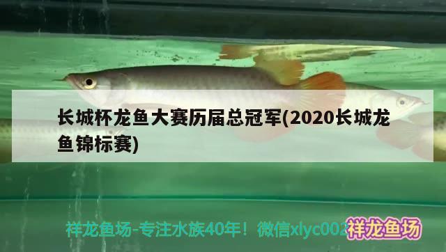 长城杯龙鱼大赛历届总冠军(2020长城龙鱼锦标赛)