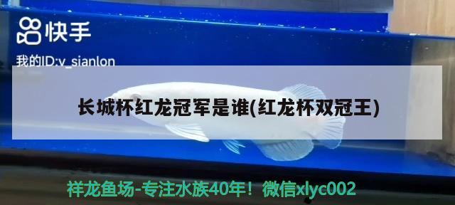 长城杯红龙冠军是谁(红龙杯双冠王) 2024第28届中国国际宠物水族展览会CIPS（长城宠物展2024 CIPS）