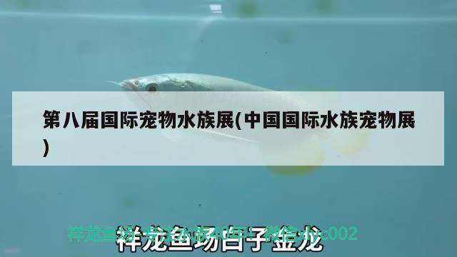第八届国际宠物水族展(中国国际水族宠物展) 水族展会