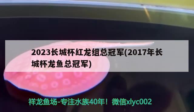 2023长城杯红龙组总冠军(2017年长城杯龙鱼总冠军) 2024第28届中国国际宠物水族展览会CIPS（长城宠物展2024 CIPS）