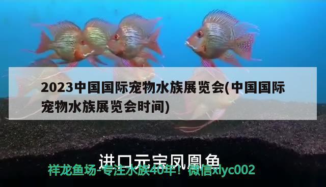 2023中国国际宠物水族展览会(中国国际宠物水族展览会时间)