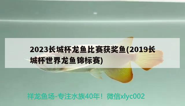 2023长城杯龙鱼比赛获奖鱼(2019长城杯世界龙鱼锦标赛) 2024第28届中国国际宠物水族展览会CIPS（长城宠物展2024 CIPS）