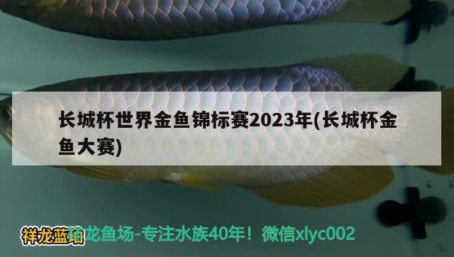 长城杯世界金鱼锦标赛2023年(长城杯金鱼大赛)