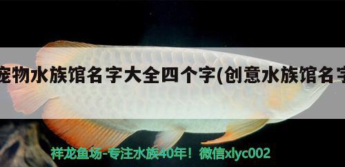 宠物水族馆名字大全四个字(创意水族馆名字)