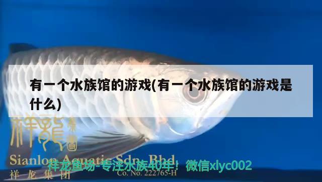 有一个水族馆的游戏(有一个水族馆的游戏是什么) 2024第28届中国国际宠物水族展览会CIPS（长城宠物展2024 CIPS）