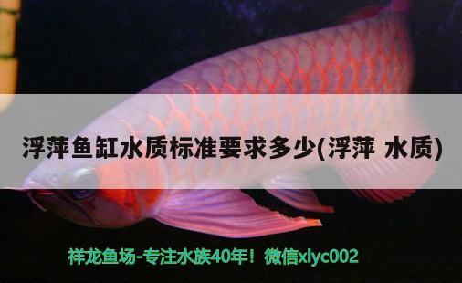 浮萍鱼缸水质标准要求多少(浮萍水质)