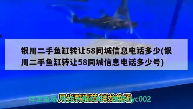 银川二手鱼缸转让58同城信息电话多少(银川二手鱼缸转让58同城信息电话多少号)