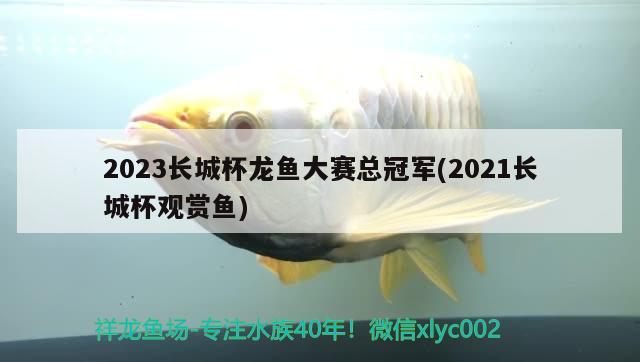 2023长城杯龙鱼大赛总冠军(2021长城杯观赏鱼) 2024第28届中国国际宠物水族展览会CIPS（长城宠物展2024 CIPS）