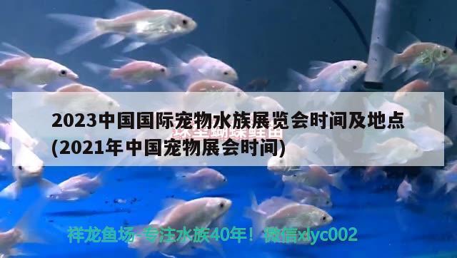 2023中国国际宠物水族展览会时间及地点(2021年中国宠物展会时间)