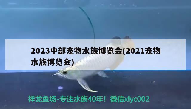 2023中部宠物水族博览会(2021宠物水族博览会)