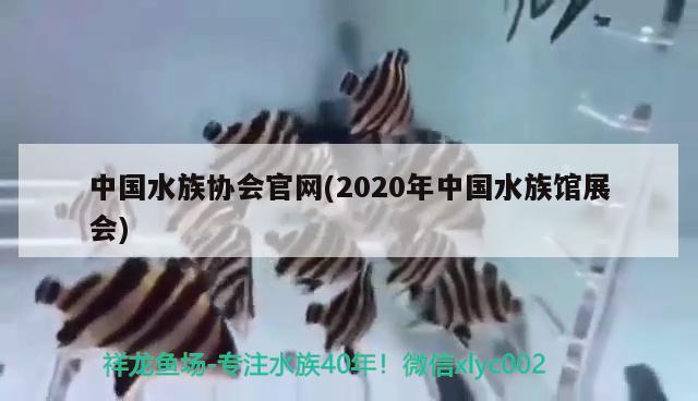 中国水族协会官网(2020年中国水族馆展会)