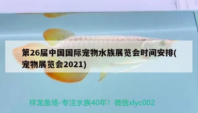 第26届中国国际宠物水族展览会时间安排(宠物展览会2021)