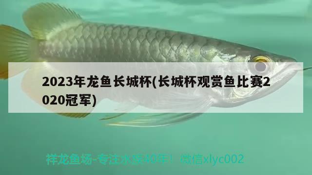 2023年龙鱼长城杯(长城杯观赏鱼比赛2020冠军) 2024第28届中国国际宠物水族展览会CIPS（长城宠物展2024 CIPS）