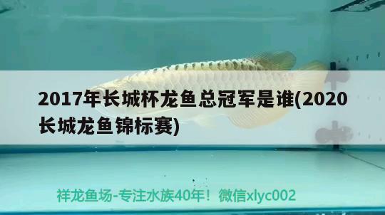 2017年长城杯龙鱼总冠军是谁(2020长城龙鱼锦标赛) 2024第28届中国国际宠物水族展览会CIPS（长城宠物展2024 CIPS）