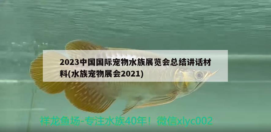 2023中国国际宠物水族展览会总结讲话材料(水族宠物展会2021) 水族展会