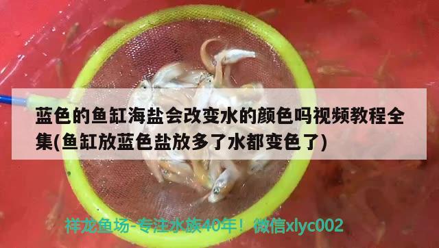 蓝色的鱼缸海盐会改变水的颜色吗视频教程全集(鱼缸放蓝色盐放多了水都变色了)