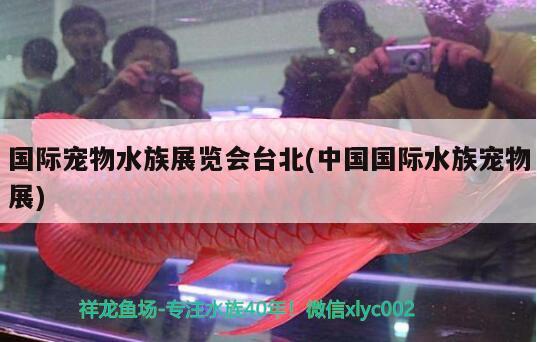 国际宠物水族展览会台北(中国国际水族宠物展) 水族展会