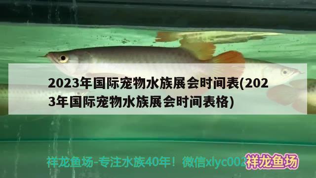 2023年国际宠物水族展会时间表(2023年国际宠物水族展会时间表格) 水族展会