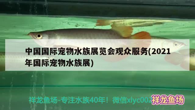 中国国际宠物水族展览会观众服务(2021年国际宠物水族展)