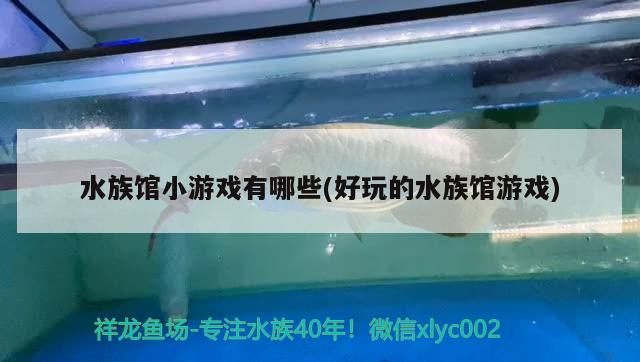 水族馆小游戏有哪些(好玩的水族馆游戏) 2024第28届中国国际宠物水族展览会CIPS（长城宠物展2024 CIPS）