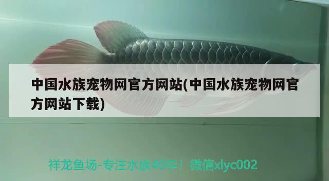 中国水族宠物网官方网站(中国水族宠物网官方网站下载) 2024第28届中国国际宠物水族展览会CIPS（长城宠物展2024 CIPS）